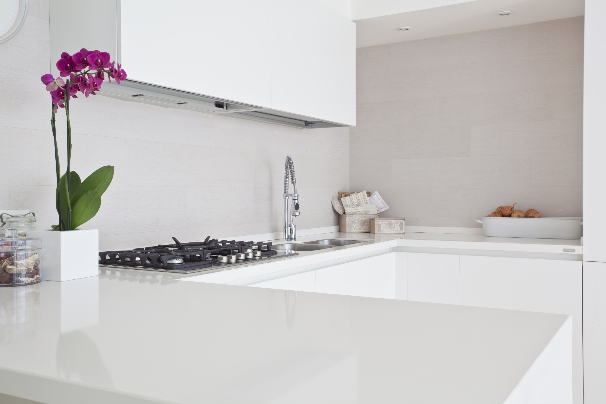 A modern u-shaped kitchen counter with an orchid.