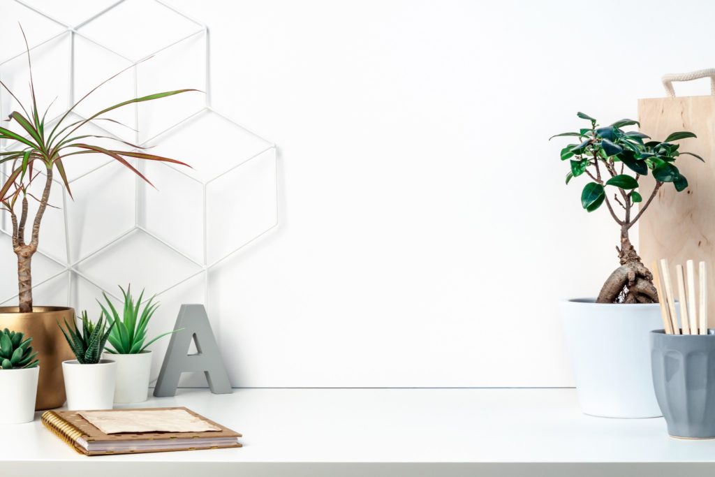 A white stone desk with many oplants styled on top.